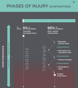phases of injury